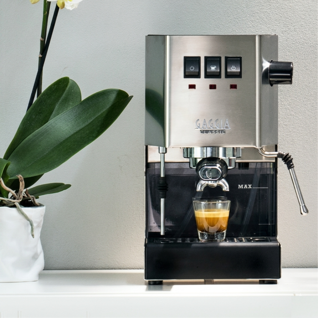 Gaggia Classic E24 inox - Alba Caffè