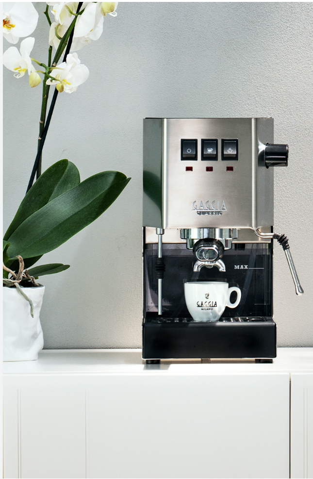 Gaggia Classic E24 inox - Alba Caffè