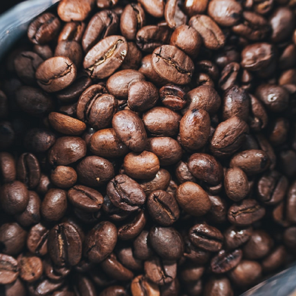 Miscela D'Oro Gusto Classico - 1kg de café en grain - Alba Caffè