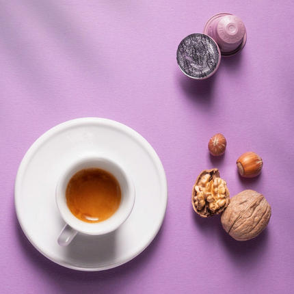 Miscela D'Oro Purple Energia - capsules compatibles Nespresso® - Alba Caffè