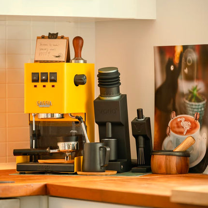 Gaggia Classic E24 Energie Vibe - Alba Caffè